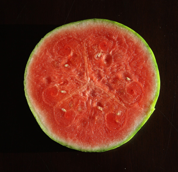Foodist Republic - Watermelon Margarita Recipe