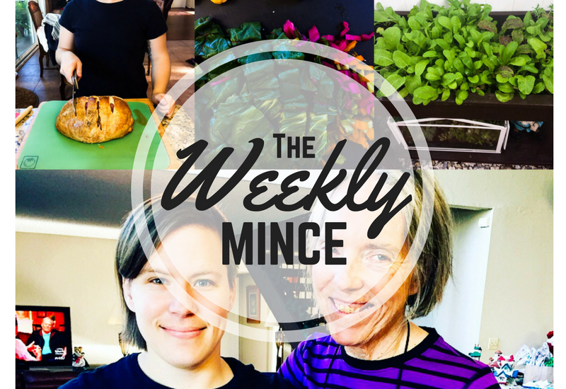 The Weekly Mince; Vol. 15 - Mince Republic