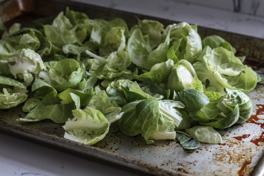 Roasted Brussels Sprouts Recipe from Mince Republic